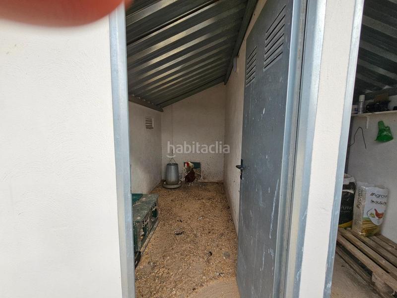 Foto 7a861bab-f697-4c36-afea-4baabdd0df21. Masía espectacular barraca cerca de ullas en Eucaliptus - Poble Nou del Delta Amposta