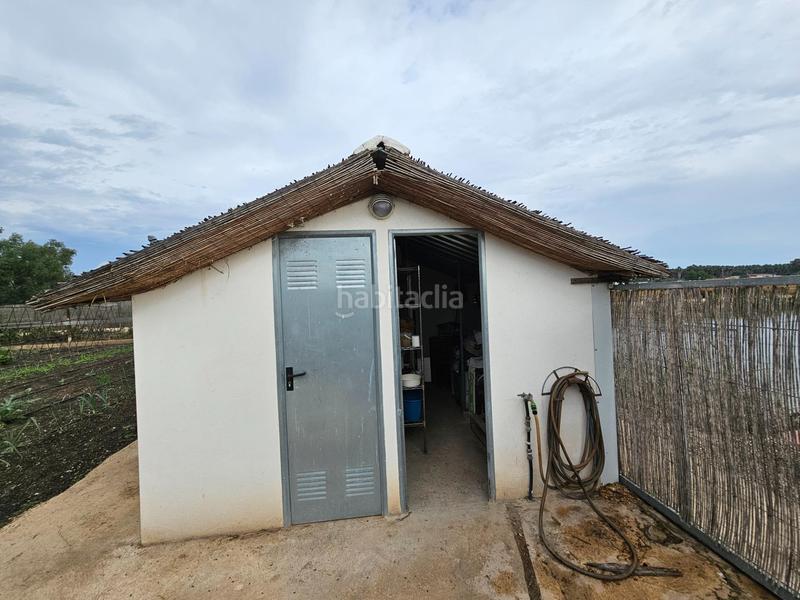 Foto 81aaf103-62d7-4226-afb2-aa893951d995. Masía espectacular barraca cerca de ullas en Eucaliptus - Poble Nou del Delta Amposta