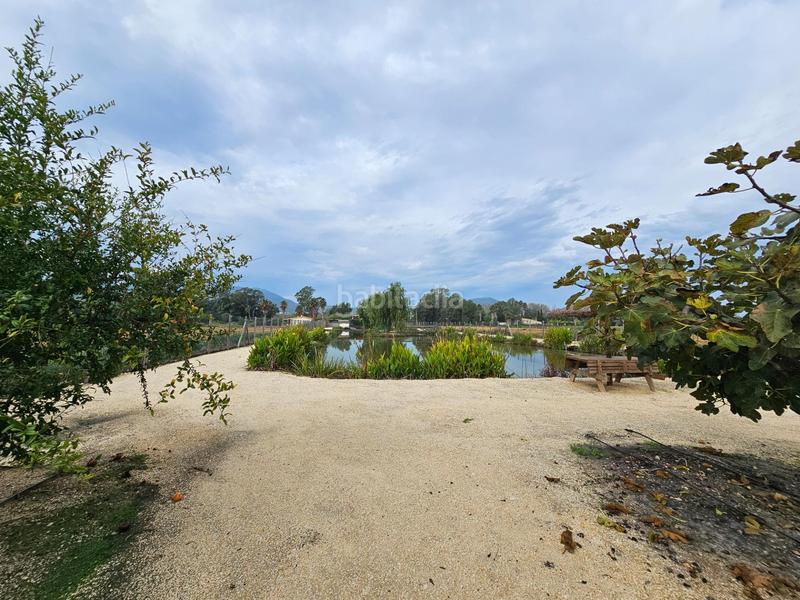 Foto 93e71ff1-28ee-40e3-b960-f6abf59eb0a8. Masía espectacular barraca cerca de ullas en Eucaliptus - Poble Nou del Delta Amposta