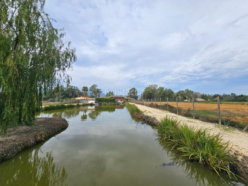 Foto 9bd35dcb-9ed8-4cfe-ba4c-91029e6cd1e8. Masía espectacular barraca cerca de ullas en Eucaliptus - Poble Nou del Delta Amposta