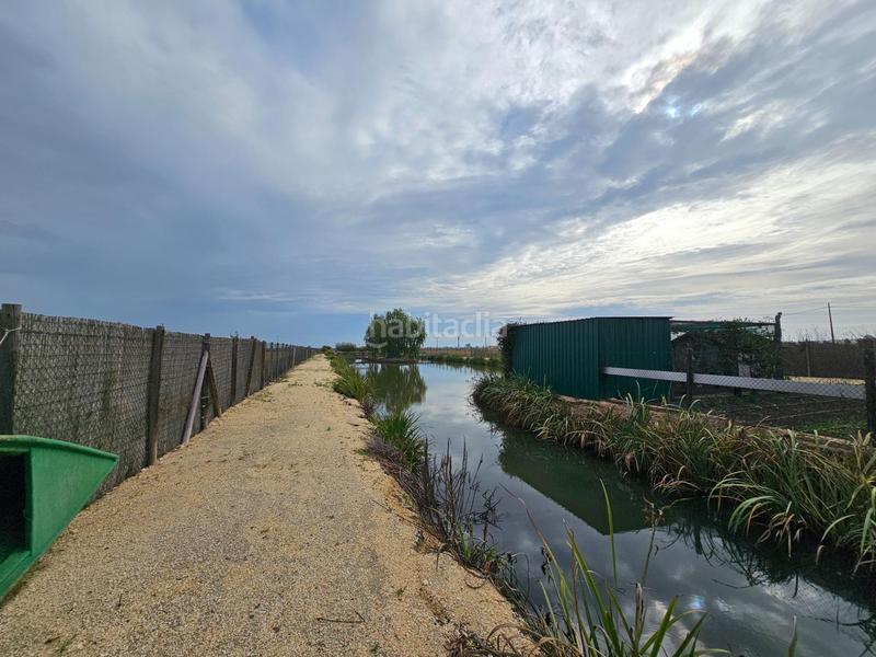 Foto a6fe27a1-b7c8-41a8-a82b-f68206c3ed4f. Masía espectacular barraca cerca de ullas en Eucaliptus - Poble Nou del Delta Amposta