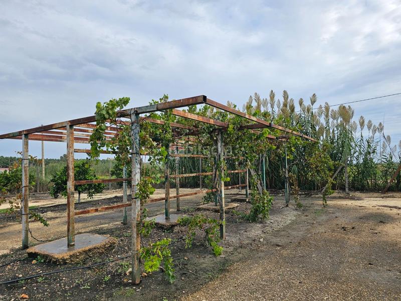 Foto a913c846-6013-4fa9-948c-10966ee1a1f7. Masía espectacular barraca cerca de ullas en Eucaliptus - Poble Nou del Delta Amposta