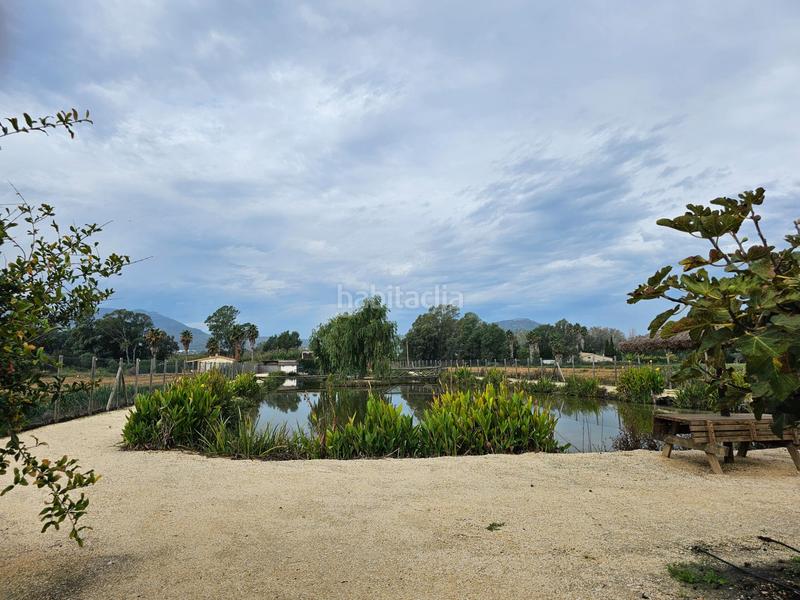 Foto a97c7cda-a7e4-4bda-b096-907d37222bcf. Masía espectacular barraca cerca de ullas en Eucaliptus - Poble Nou del Delta Amposta