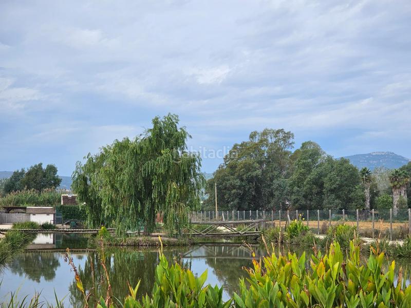 Foto b608c12f-9bdd-45a9-b79c-58e00b1c6a08. Masía espectacular barraca cerca de ullas en Eucaliptus - Poble Nou del Delta Amposta