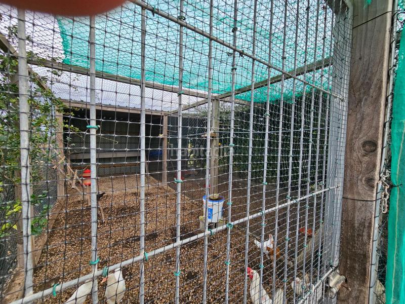 Foto bc55e1f6-50c8-4c56-8592-851f49df8c88. Masía espectacular barraca cerca de ullas en Eucaliptus - Poble Nou del Delta Amposta