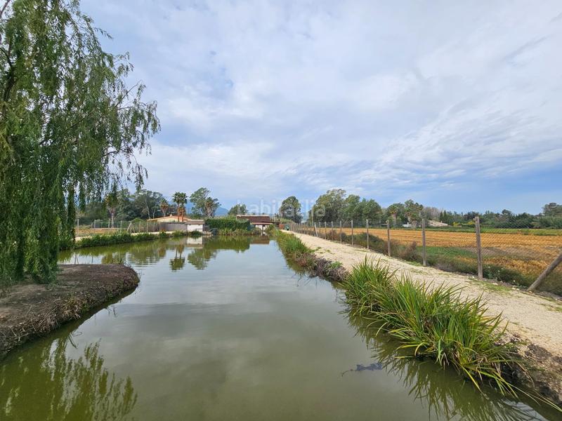 Foto f68602e7-5312-4233-bc74-77b46d6e413c. Masía espectacular barraca cerca de ullas en Eucaliptus - Poble Nou del Delta Amposta