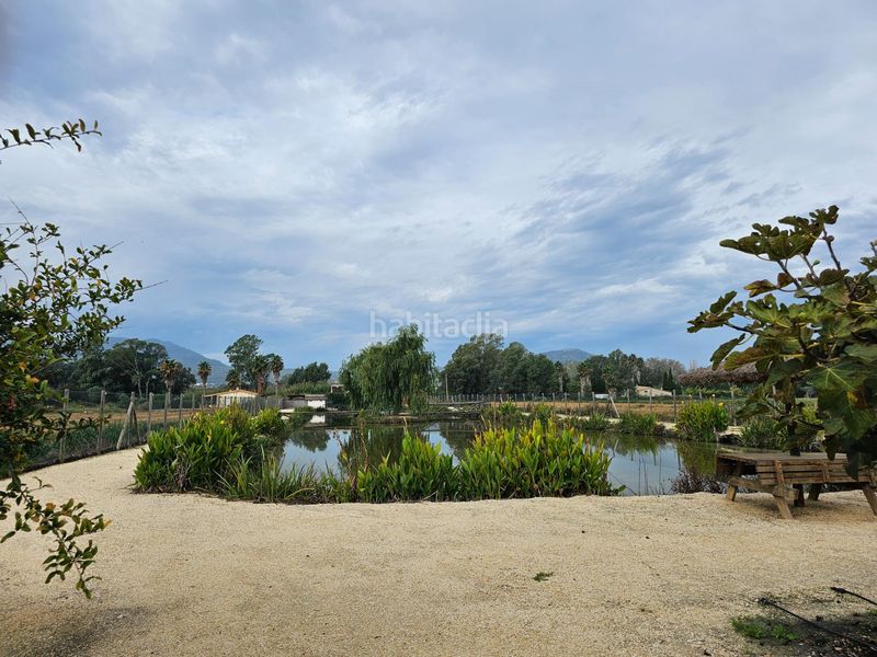 Foto a97c7cda-a7e4-4bda-b096-907d37222bcf. Masia amb piscina a Eucaliptus - Poble Nou del Delta Amposta