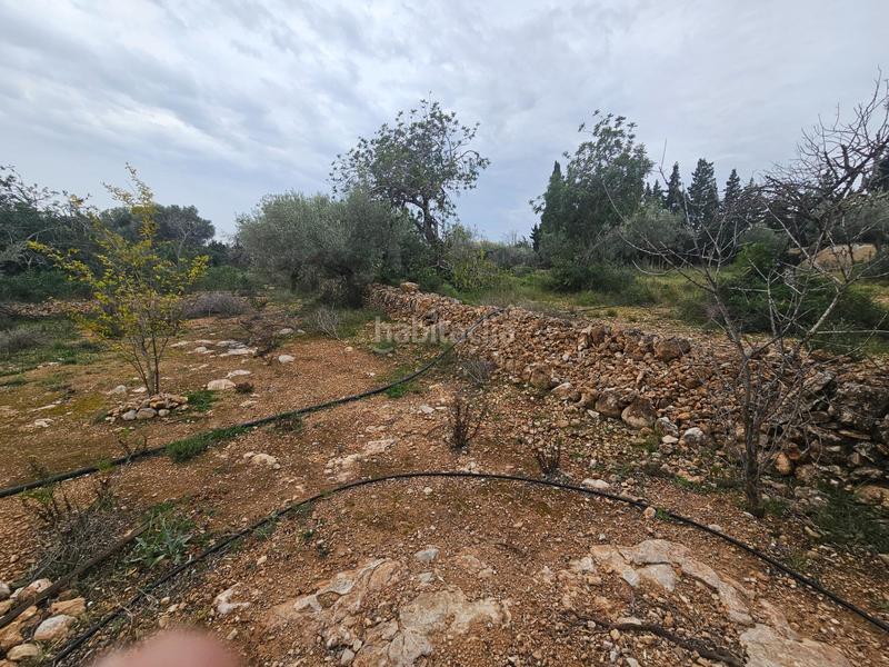 Foto 6b619759-98bc-4c18-acc6-fd14c3302d54. Masía finca rústica con casa en la rapita en Nord Sant Carles de la Ràpita