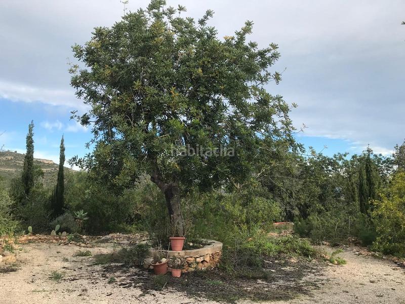 Foto 6fa33b84-43d2-47f7-85de-770e6b6d8b0e. Masía finca rústica con casa en la rapita en Nord Sant Carles de la Ràpita