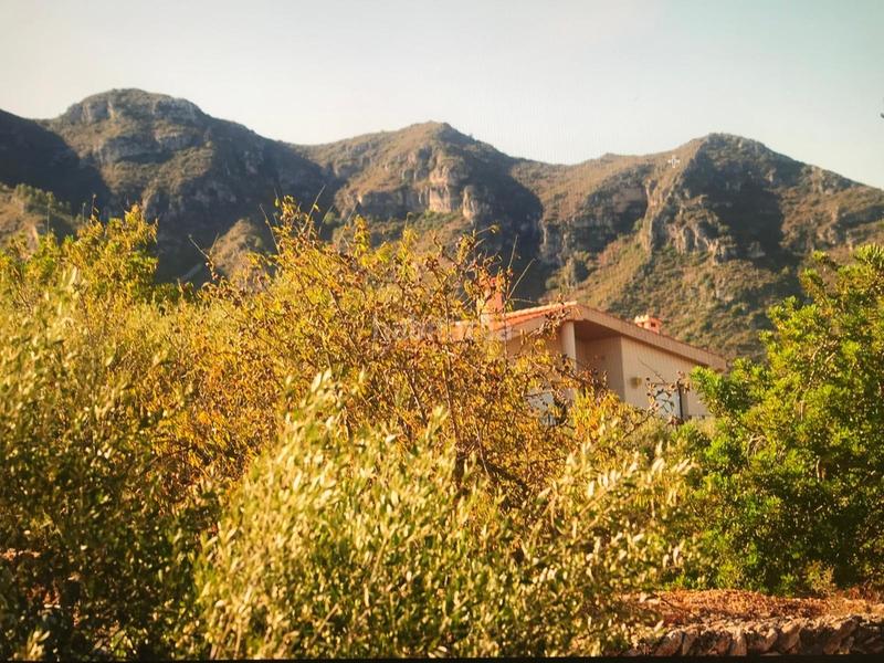 Foto d0980e3c-338f-4c8f-b22d-09b531cd705d. Masía finca rústica con casa en la rapita en Nord Sant Carles de la Ràpita