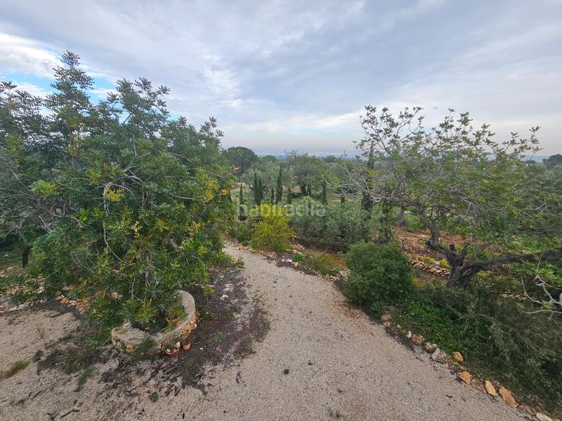 Foto e00f8364-ac3d-49d2-b946-5b18d61444a1. Masía finca rústica con casa en la rapita en Nord Sant Carles de la Ràpita