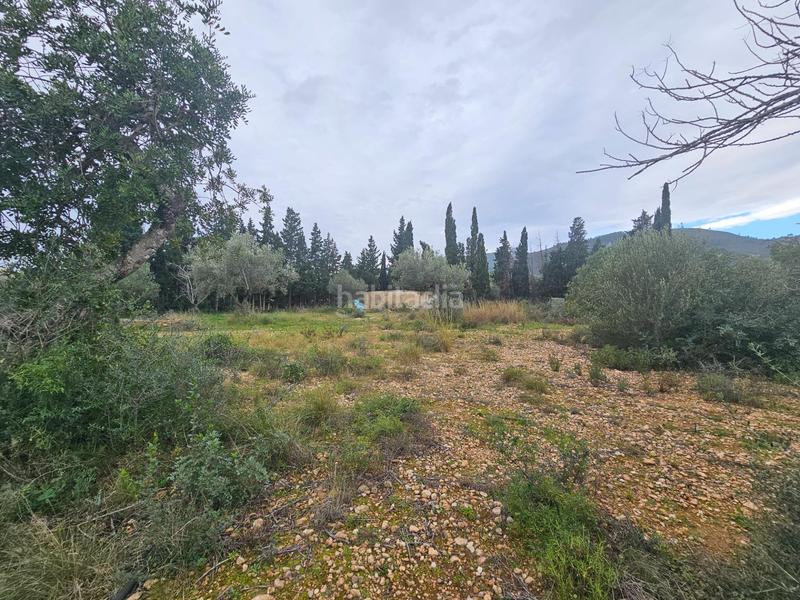 Foto eba11663-0ad5-4108-bea2-9e9c9e6d817c. Masía finca rústica con casa en la rapita en Nord Sant Carles de la Ràpita