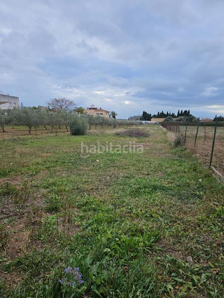 Foto 0a887b0d-7021-450c-bd45-67ebd2ec572a. Masía finca rústica en laldea en Aldea (L´)