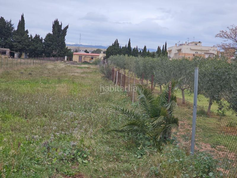 Foto 92b85232-bc11-4a67-9eaa-1310626a7509. Masía finca rústica en laldea en Aldea (L´)