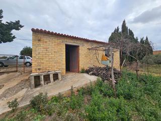 Masia a Aldea (L´). Finca rústica en laldea
