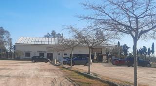 Masia a Deltebre. 15 ha con casa, restaurante y nave al lado del río ebro