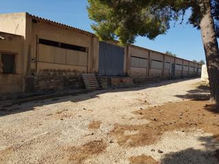 Miete Fabrikhalle in Platges. Almacén en la ràpita