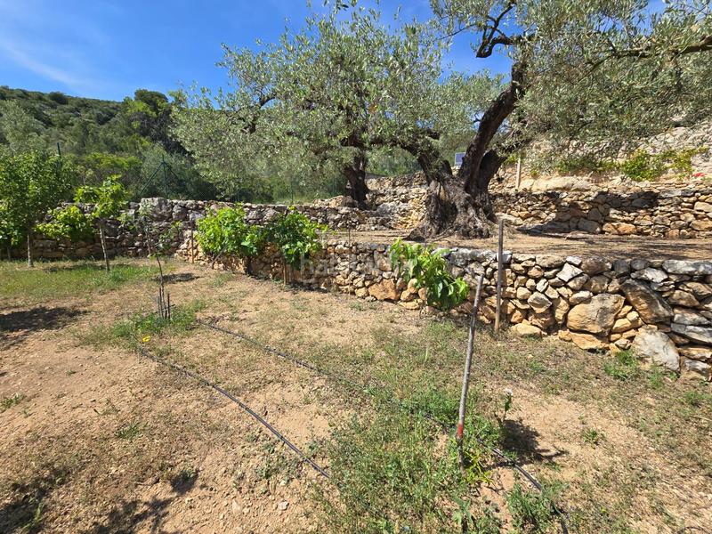 Foto 0a21977d-19c9-4516-ae7f-47e56421a6a4. Bauernhof in Valletes - Xiribecs Amposta