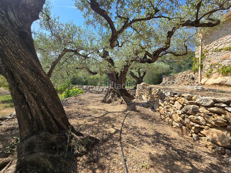 Foto 0d4194dc-7655-4e47-b477-4477ac815219. Bauernhof in Valletes - Xiribecs Amposta