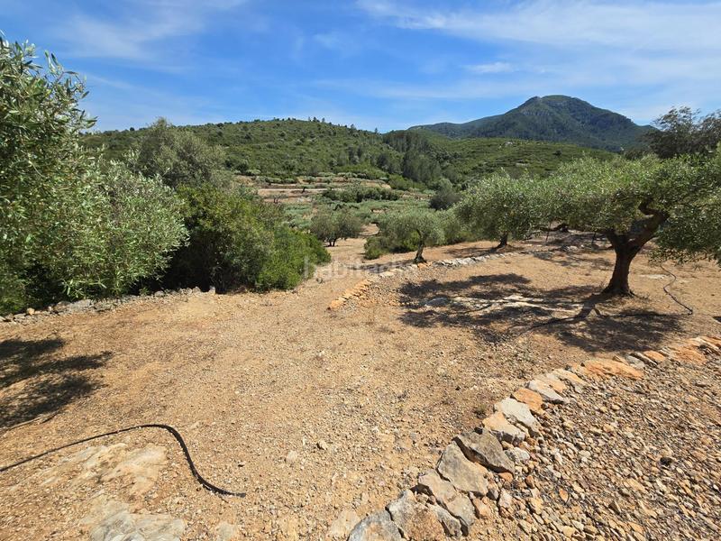 Foto 2494ef15-3e4f-4501-b1e7-33157071689f. Bauernhof in Valletes - Xiribecs Amposta