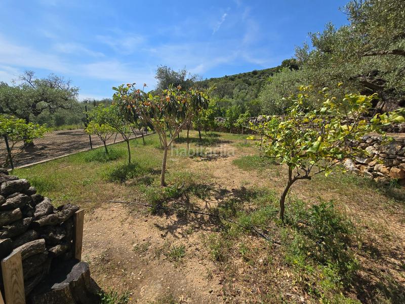 Foto 371c4eee-572f-48de-b79e-bd15a4932599. Bauernhof in Valletes - Xiribecs Amposta