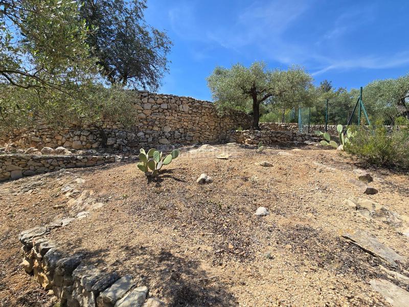 Foto 52da1b24-8b8c-4660-8633-1a2e0e16b88d. Bauernhof in Valletes - Xiribecs Amposta