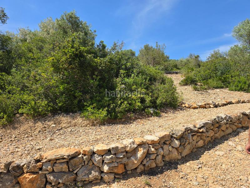 Foto 5c05c2b8-f0eb-464a-b073-abc02918f888. Bauernhof in Valletes - Xiribecs Amposta