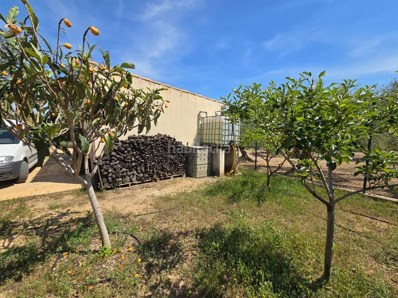 Foto 65a48492-63c5-46ce-b669-3e17227ad520. Bauernhof in Valletes - Xiribecs Amposta