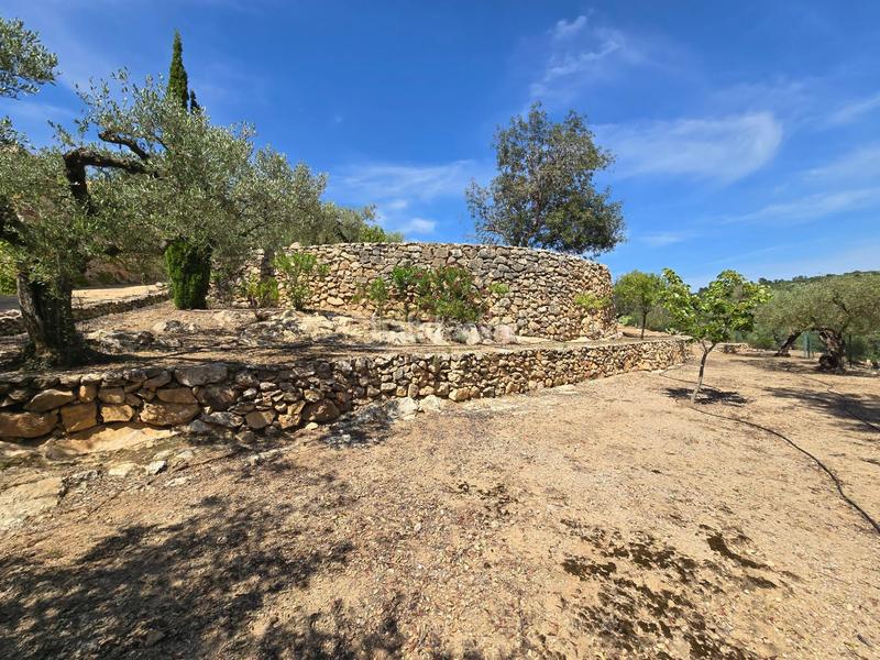 Foto 680e88b7-9180-4b28-bcdb-67519c43ba5b. Bauernhof in Valletes - Xiribecs Amposta