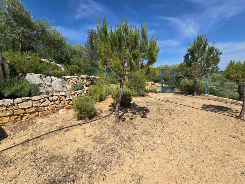 Foto 6e92f59f-f2fa-4f1e-a978-64792dac273d. Bauernhof in Valletes - Xiribecs Amposta