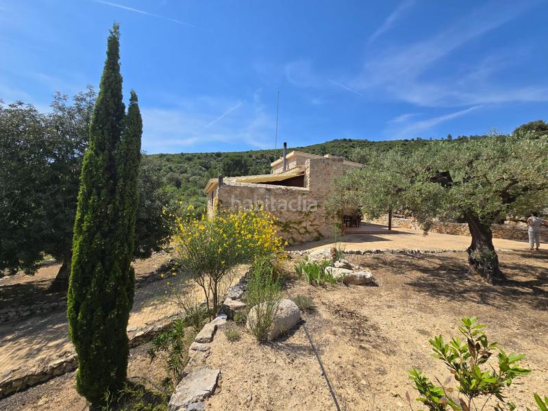 Foto 8b5ae3bd-e8dd-4105-ac29-5eb31f23a237. Bauernhof in Valletes - Xiribecs Amposta