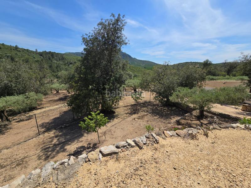 Foto b713c24d-d028-4233-82d9-84e19b4295a9. Bauernhof in Valletes - Xiribecs Amposta