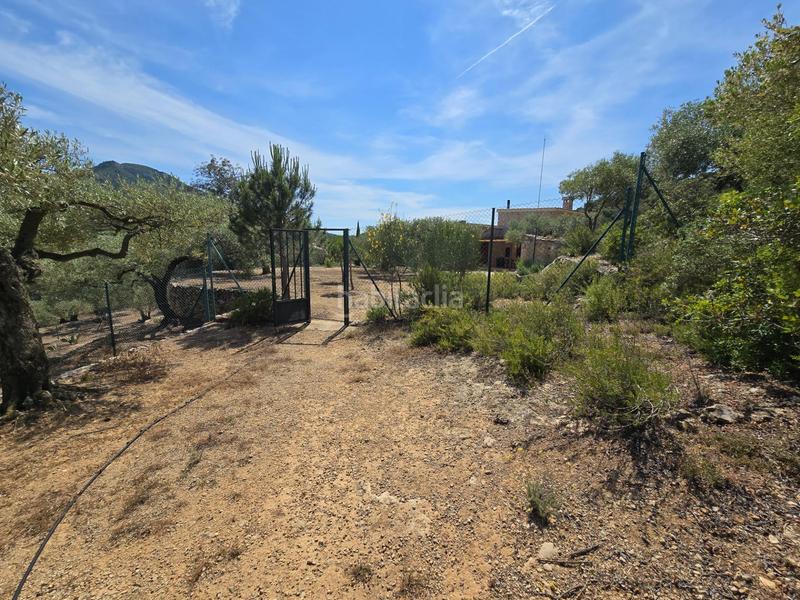 Foto d083d40e-eee1-4295-86a4-581d225ffb30. Bauernhof in Valletes - Xiribecs Amposta