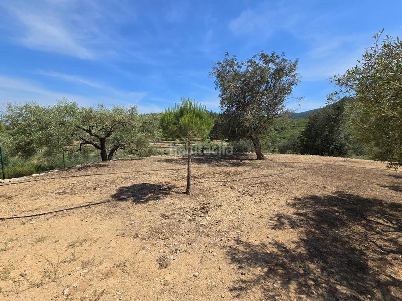 Foto da08c8bf-c13e-45d7-887f-8026f465fcae. Bauernhof in Valletes - Xiribecs Amposta