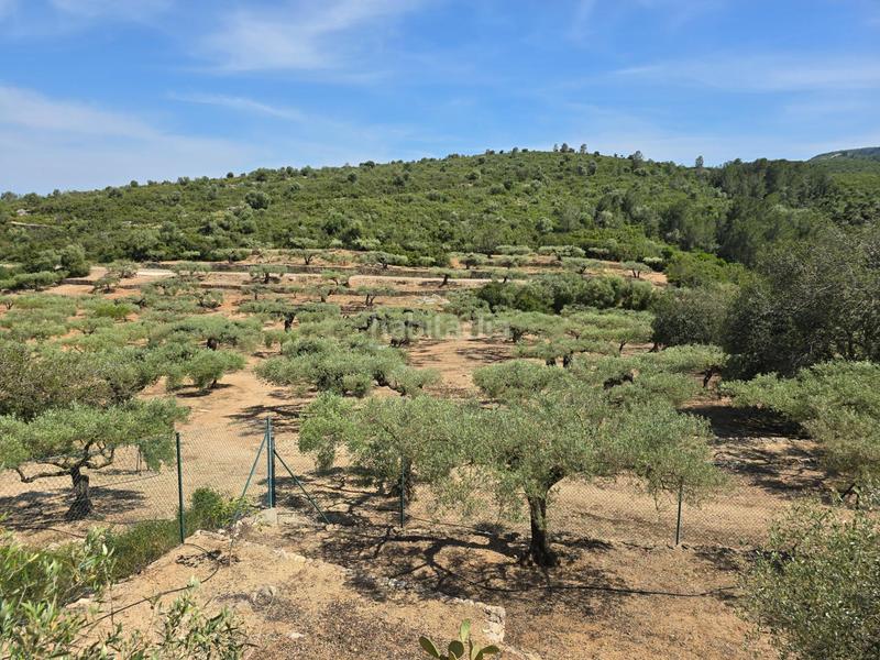 Foto f5307b13-0ccd-476c-8ba0-3f69c790c165. Bauernhof in Valletes - Xiribecs Amposta