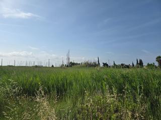 Rural plot in Nord. Pequeña parcela de tierra