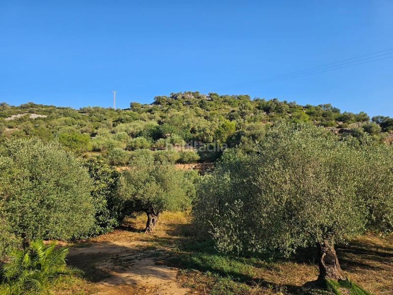 Foto 27867bcc-fb7c-4af3-83f1-2a4acf9fb1d7. Propriété dans Valletes - Xiribecs Amposta