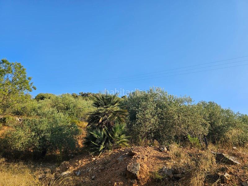 Foto 2cd18f29-303f-408c-98cc-009dc67003e2. Propriété dans Valletes - Xiribecs Amposta