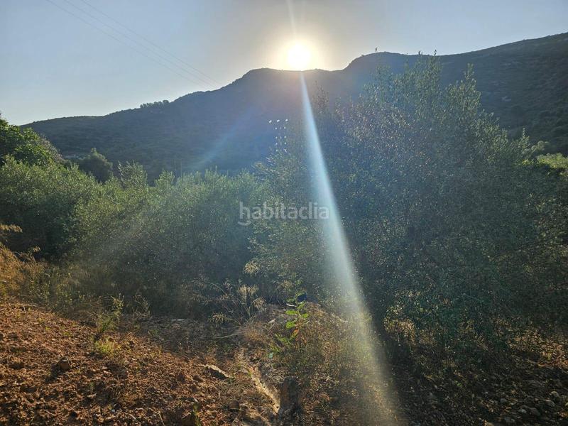 Foto 36f35649-ca83-4a95-8300-fcda5c7946b7. Propriété dans Valletes - Xiribecs Amposta