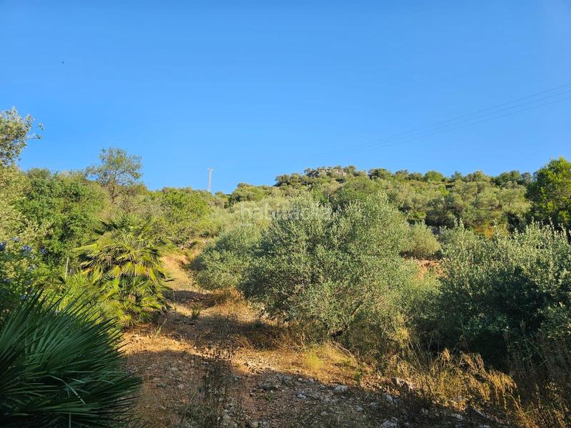 Foto 3d81262f-9f39-4c85-bd43-681281b6a69b. Propriété dans Valletes - Xiribecs Amposta