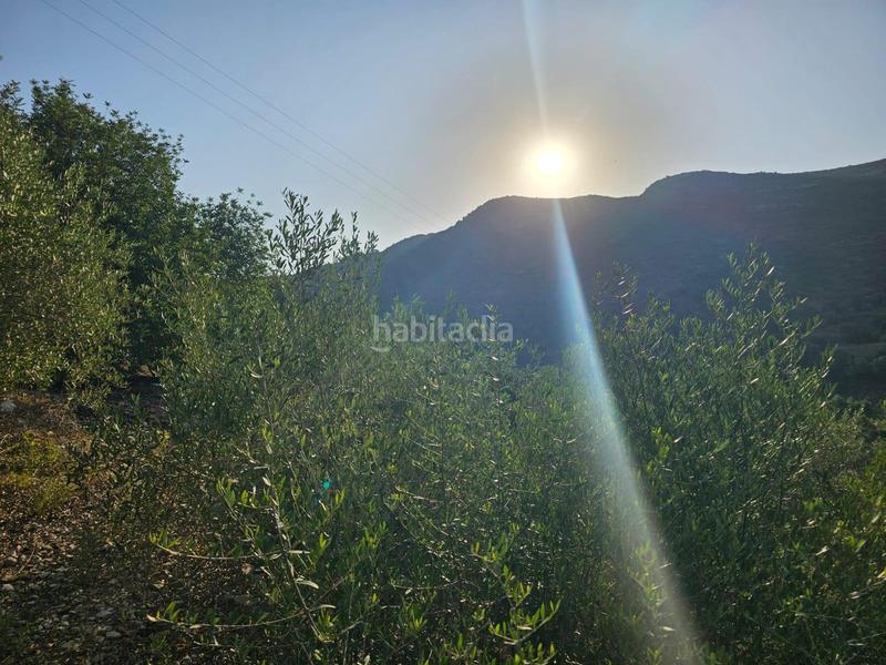 Foto 52e799eb-30f6-4c7d-9c61-3ea75eebaca3. Propriété dans Valletes - Xiribecs Amposta