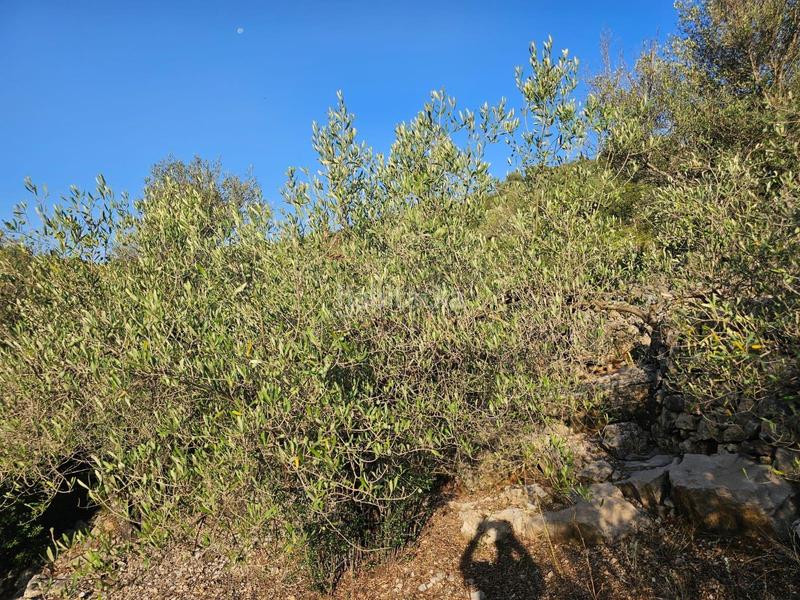 Foto 68aeb013-642e-49a8-a2f2-3f0b57d9329a. Propriété dans Valletes - Xiribecs Amposta