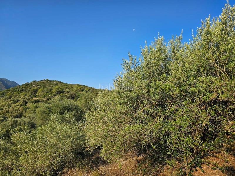 Foto 6c240fe3-29ab-482e-8376-b37a1eaa2cee. Propriété dans Valletes - Xiribecs Amposta