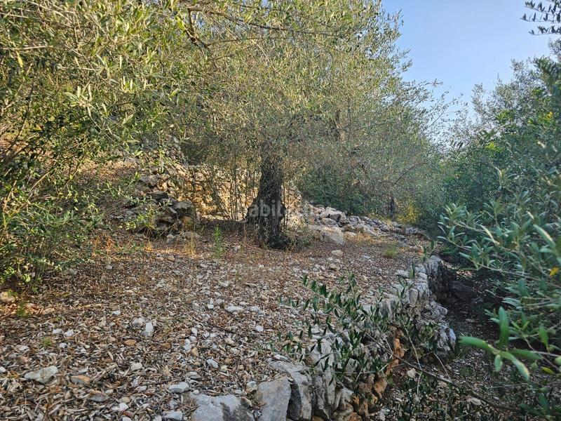 Foto 73edf69d-65ce-4c4b-b83e-7ece07f99531. Propriété dans Valletes - Xiribecs Amposta