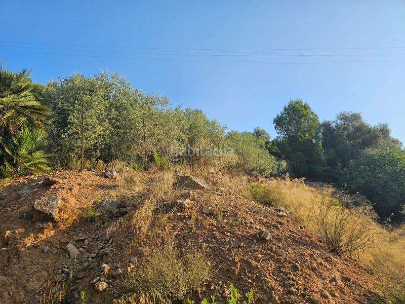 Foto 7f4ad123-c513-4dbc-b287-754f08573ee8. Propriété dans Valletes - Xiribecs Amposta