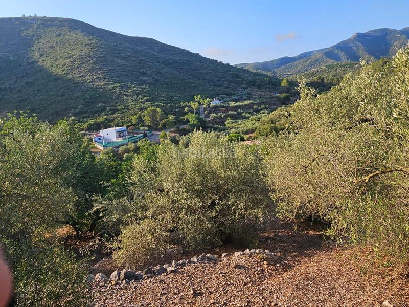 Foto 929b7f94-d816-4b7b-acfa-e24bb2599352. Propriété dans Valletes - Xiribecs Amposta