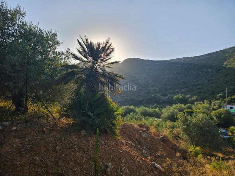 Foto 9db600c6-e3c7-4c0b-b4eb-f7811cc963b9. Propriété dans Valletes - Xiribecs Amposta