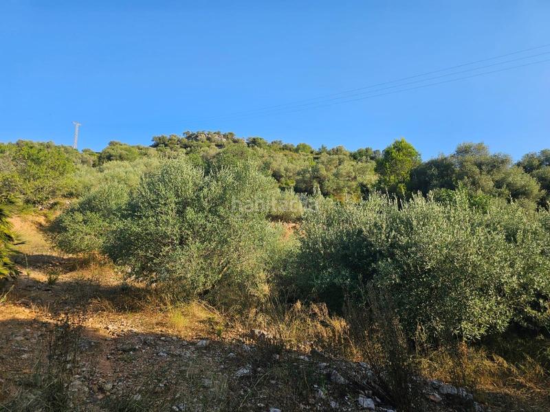 Foto abfcec07-99cb-40dd-9e92-26c1e4088d37. Propriété dans Valletes - Xiribecs Amposta