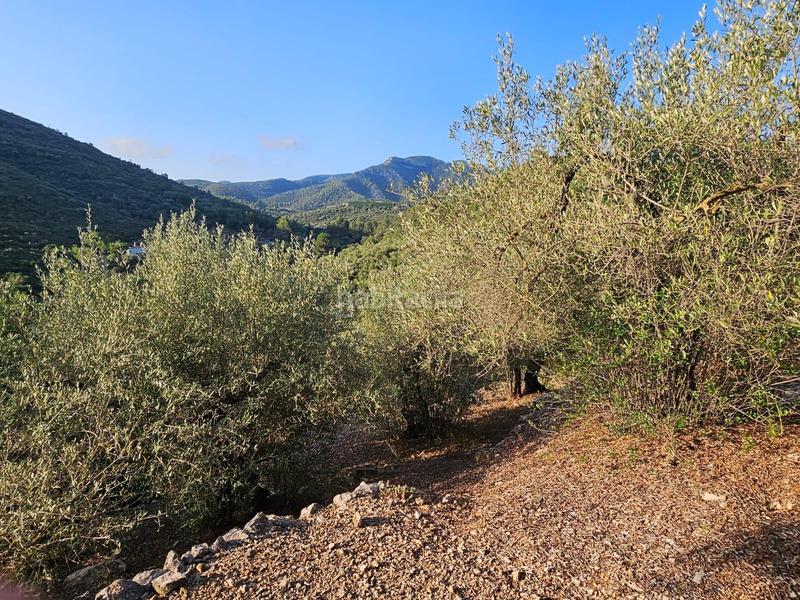 Foto b36d0227-0348-48f9-af39-be56dd160737. Propriété dans Valletes - Xiribecs Amposta