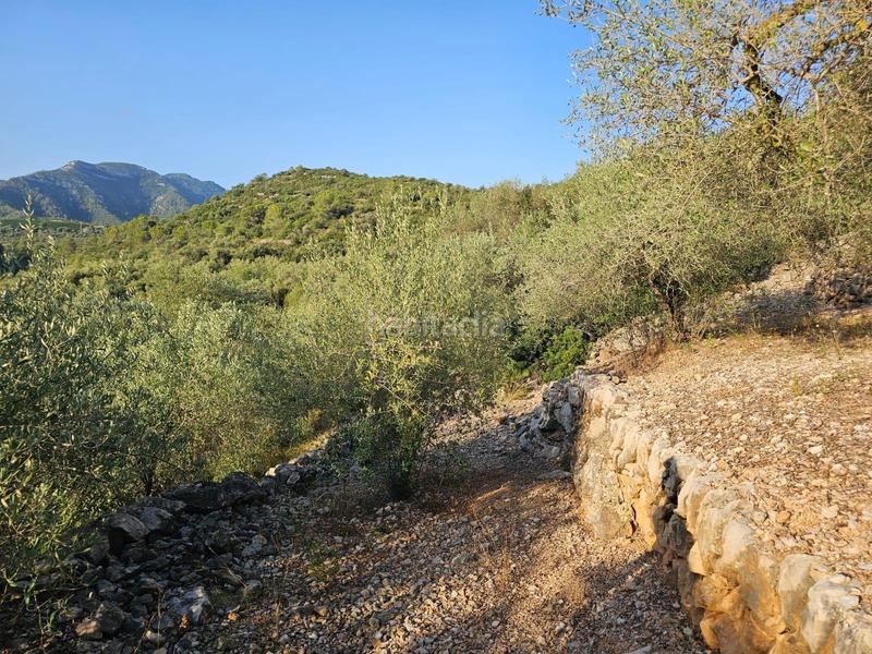 Foto cb0ccdb6-8a35-40ce-9707-b6358b8f3f59. Propriété dans Valletes - Xiribecs Amposta